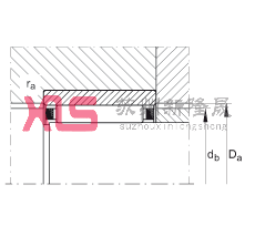 LS RNAO40X55X20, o߅
