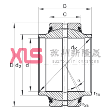 PS GE20-HO-2RS,  DIN ISO 12 240-1 ˜, Soɂȴܷ