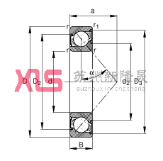 ǽ|S 7006-B-2RS-TVP, |  = 40, ɂ(c)ܷ