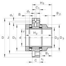 L/ALS ZARF65155-L-TV, pᔰbLSλȦ