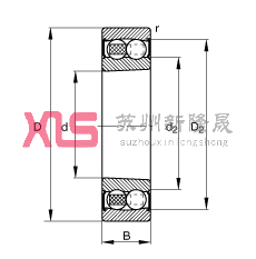 {S 2207-K-2RS-TVH-C3,  DIN 630 ˜ʵҪߴ, FףF 1:12ɂȴܷ
