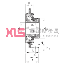 ֱʽSԪ PBS25, 䓰SƫiȦSP ܷ